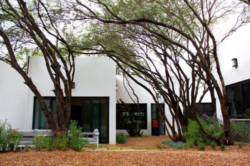 Imagen 28 de 30 de La Casa De Los Arboles Grandes