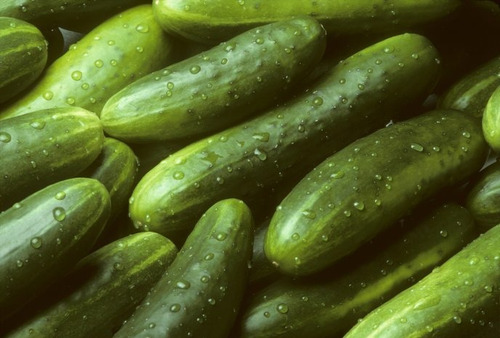 Corrida Financiera Para Produccion De Pepino