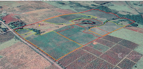Se Vende Chacra De 48 Ha En Apostoles Misiones. 28 Ha Con Yerba Mate.