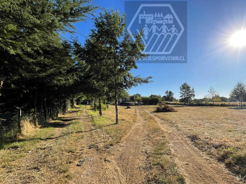 Parcela De 1ha En Venta A 11km De Quepe (96598)