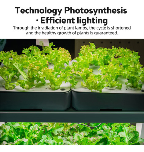 Grow Light Green Para Suculentas Barras De Casa Regulables