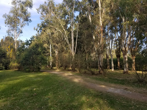 Imagen 7 de 10 de Oportunidad De 37.600 Mts En La Pista C/gran Casa De Campo