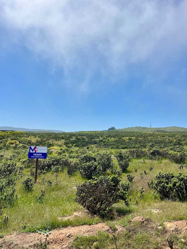Sitio Con Rol Y Vista Despejada Al Mar (65746)