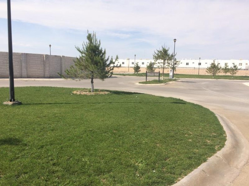 Imagen 10 de 12 de Terreno En Venta En Los Olivos, Gómez Palacio