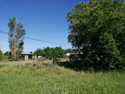 Imagen 3 de 5 de Terreno En Ibarlucea 450 M2