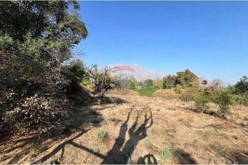 2d 1b Con 4000 M2 Terreno. Galpón 21 M2