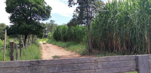 Imagem 6 de 15 de Terreno Para Venda Em Ribeirão Das Neves, Hortinha - T31_1-1023924