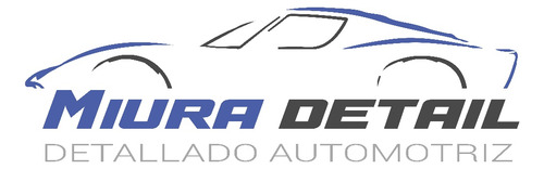 Miura Detail Servicio De Detailing A Domicilio En Caba Y Gba