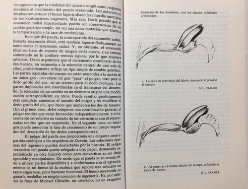 El Pulgar Del Panda. S Jay Gould. Teoría De La Evolución