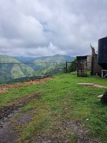 Galpón En Venta En Los Teques