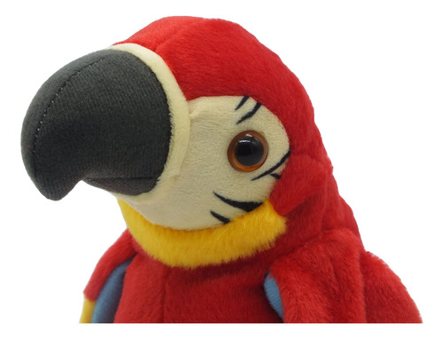 Talking Parrot No Matter What You Say Will Repeat What You S
