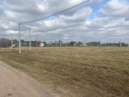 Imagen 4 de 6 de Venta De Terreno. Zona Parque De La Agricultura