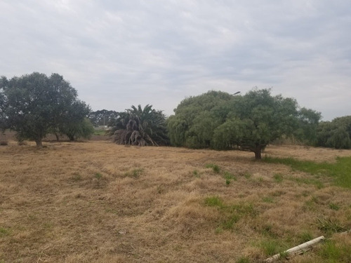 Imagen 11 de 14 de Venta Chacra San Fuentes 3692, 3 Hectáreas!!!