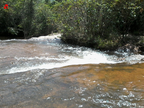 Chacara - Zona Rural - Ref: 1280 - V-1280