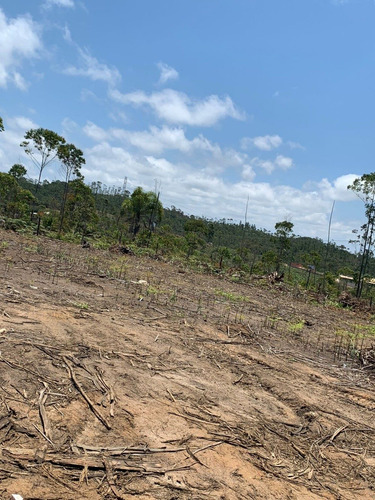 Imagem 14 de 14 de 08 Terrenos 1000m² Em Mogi