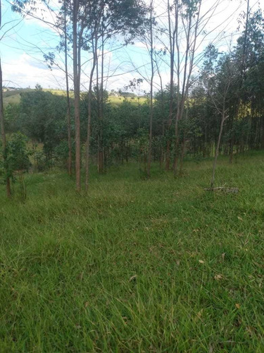 Imagem 13 de 14 de A28 -lotes Para Construção De Chácaras