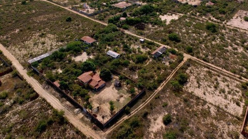 Imagem 15 de 18 de Granja A Venda Pium