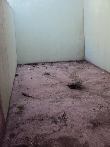 Imagem 10 de 13 de Casa Sobrado Para Venda, 3 Dormitório(s) - 78