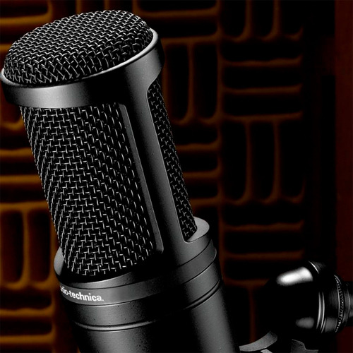 Micrófono Condensador Audio-technica At2020 Negro