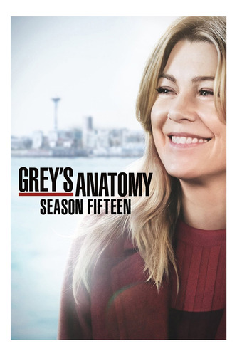 Grey's Anatomy 15ª Temporada Da Série Em Dvd Dub/leg