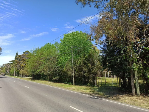 Imagen 2 de 6 de Terreno En Venta En Pereyra
