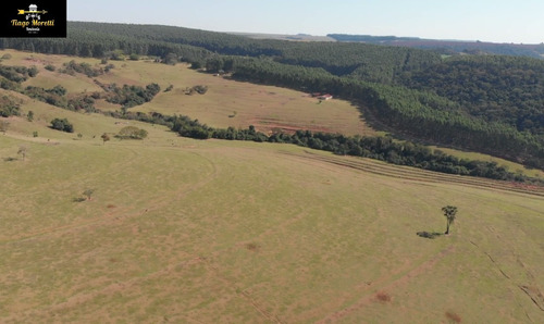 Imagem 8 de 19 de Excelente Fazenda Á Venda Com Ótima Localização Sarutaiá-piraju - Fa00036 - 68204645