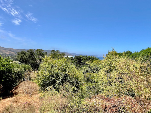 Interesante Propiedad Con Vista En Venta, Cachagua
