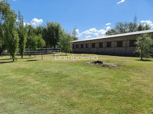 Imagen 15 de 30 de Campo En Venta - General Rodríguez - G.b.a. Zona Oeste