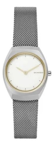 Relógio Skagen Feminino Skw2654/1bn