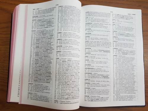Biblia Reina Valera 1960 Letra Grande, Concordancia, Vinilo
