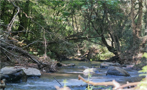 Terreno En Venta En Temascaltepec.