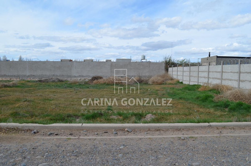 Imagen 12 de 16 de Venta Terreno 996m2 Apto Desarrollo Confluencia Rural Neuquén