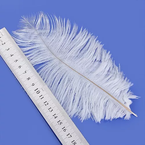 Pluma de avestruz blanca de 10 a 12 pulgadas, paquete de 100 unidades desde  Nueva York