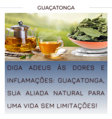 Ervas & Chá chá de guaçatonga em ervas 30 g