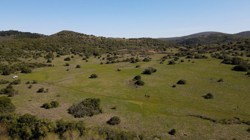 Imagen 7 de 13 de Chacra Campo En Venta En Aguas Blancas, Lavalleja, Mataojo (ref: Atm-6840)