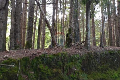 Venta Parcela Pucón Con Acceso A Rio Carhuello