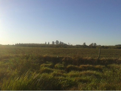 30 Has. Agricola Colonia