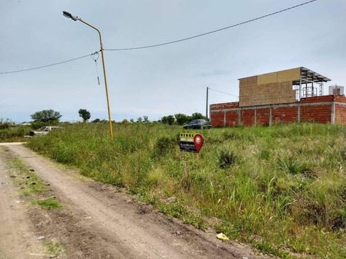 Imagen 2 de 2 de Ituzaingo C/ Del Inmigrante