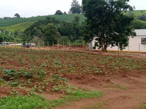 Sítio 5,5 Alqueires Rico Em Agua,localização Nobre,2 Casas Boas,4 Dorms Cada,4 Kms Do Asfalto,terra Fértil,vermelha,muitas Benfeitorias - St00053 - 69181042