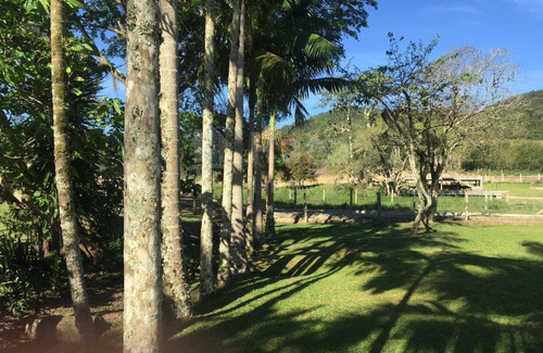 Imagem 22 de 30 de Chácara À Venda No Bairro Cerro - Camboriú/sc - 1654c