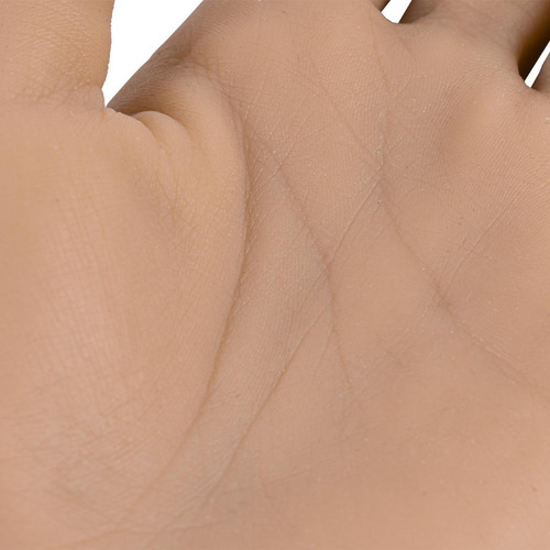 Mano De Práctica De Uñas Acrílicas Herramienta E Se Fue