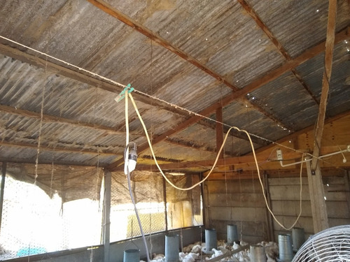 Imagen 28 de 30 de Latorre Prop Vende Campo De 34 Hectareas En Cobo
