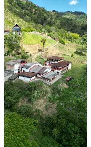 Finca Cafetera En Venta En Andes - Antioquia