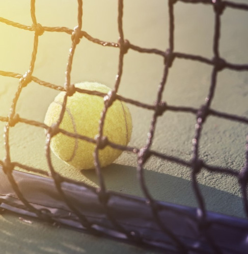 Imagen 2 de 7 de Red Tenis Profesional Reglamentario Juego Reforzado Con Nudo