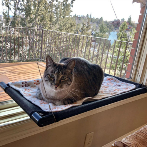Mascota Gato Ventana Percha Ventosa Tomando El Sol 48cmx38cm
