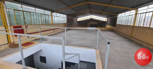 Comercial/industrial - Ref: 174810
