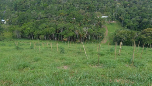 Imagem 30 de 30 de Chácara 20.000 M² C/lindo Chalé De Madeira A 1,5 Km Da Rodovia Em Juquitiba-sp