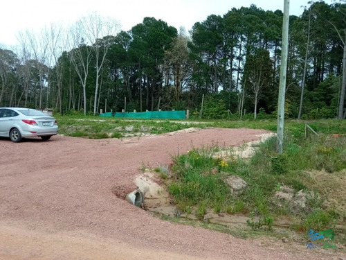 Imagen 5 de 6 de Terreno Nivelado En Verde Mora 1300m2 - Punta Ballena Punta Ballena