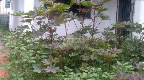 Imagem 6 de 16 de Terreno Comercial À Venda, Cidade Jardim Cumbica, Guarulhos. - Te0132