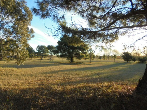 Terreno En Venta En Fraccion Iii